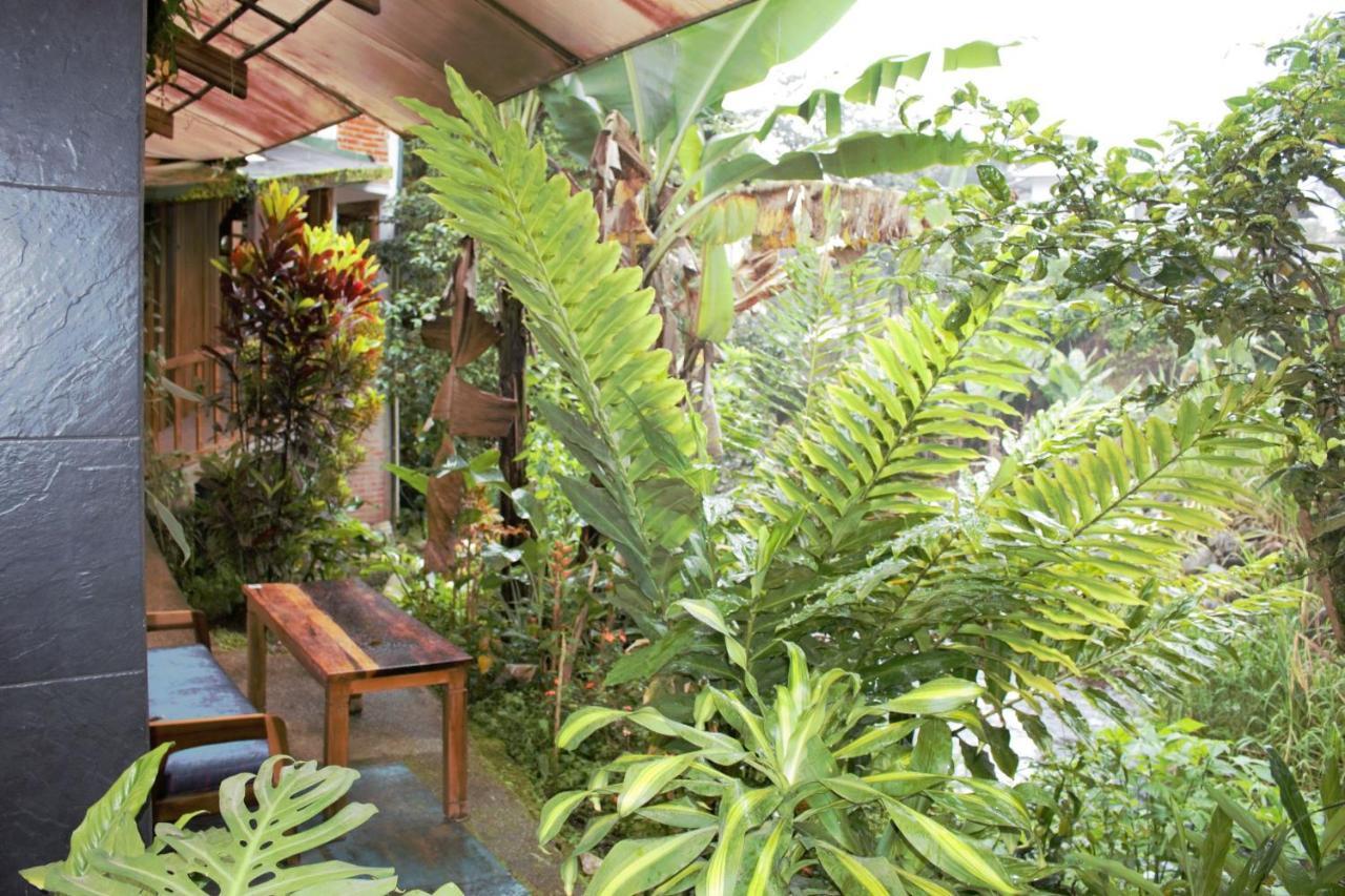 Hostal Zafiro ميندو المظهر الخارجي الصورة